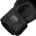 Boxing Gloves Venum Dragon ´s Flight black/black