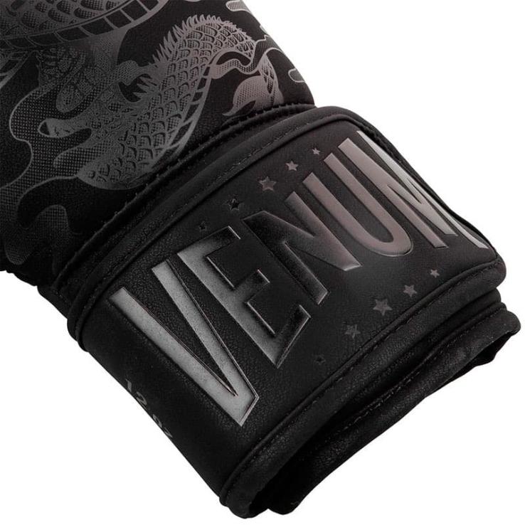 Boxing Gloves Venum Dragon ´s Flight black/black